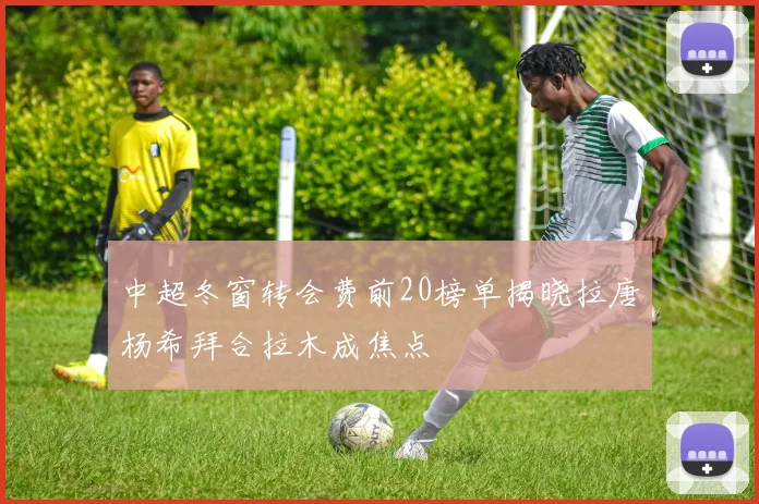 中超冬窗转会费前20榜单揭晓拉唐杨希拜合拉木成焦点