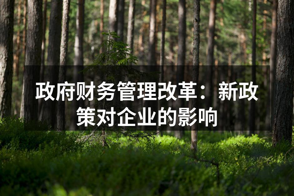 政府财务管理改革：新政策对企业的影响